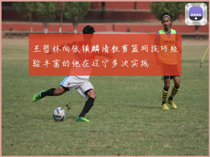 王哲林向张镇麟请教剪篮网技巧经验丰富的他在辽宁多次实践