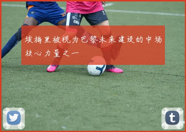 埃梅里被视为巴黎未来建设的中场核心力量之一